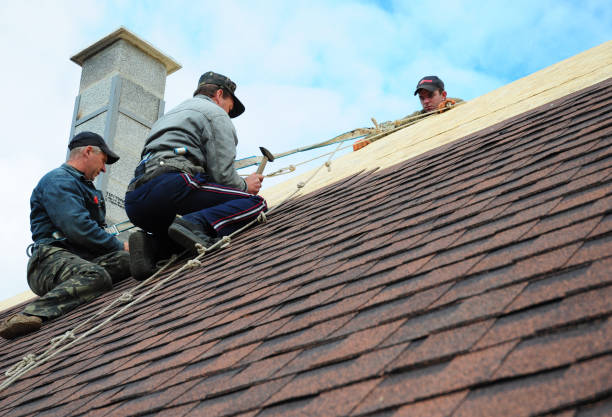 Best Metal Roofing Contractor  in Mford, IL